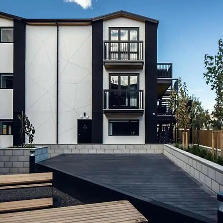 Cozy 1Br Apartment With Hagley Park View Christchurch Ngoại thất bức ảnh