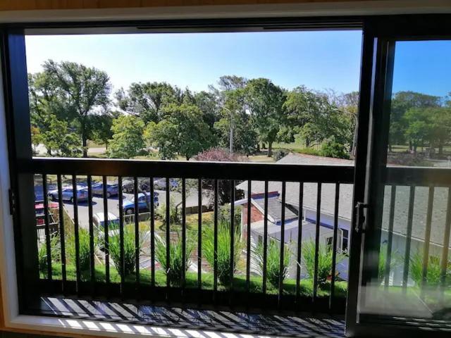 Cozy 1Br Apartment With Hagley Park View Christchurch Ngoại thất bức ảnh